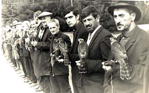 Falconry in Georgia